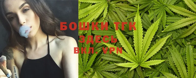 наркота  Городец  Бошки Шишки SATIVA & INDICA 